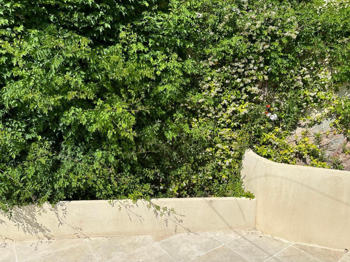 Villa Paradis - Cannes Dış mekan fotoğraf